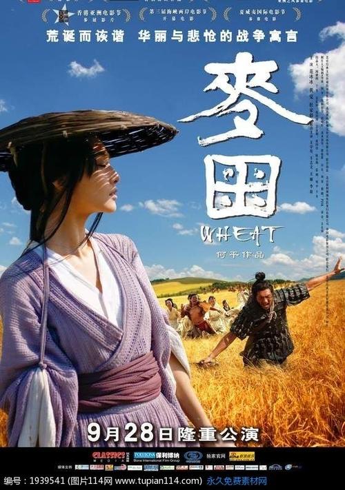 圣玛丽大学毕业证电子图